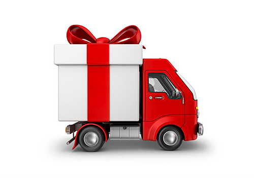 Show-Device.ru - Правила покупки и доставки